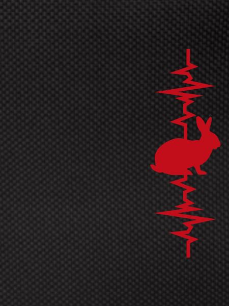 Rabbit heartbeat