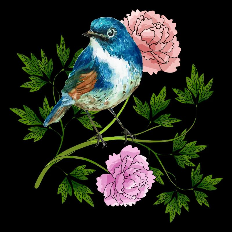 Oiseau coloré