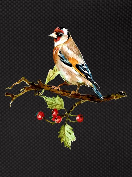 Bunter Vogel