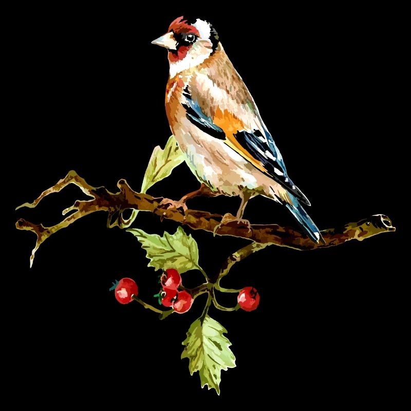 Bunter Vogel