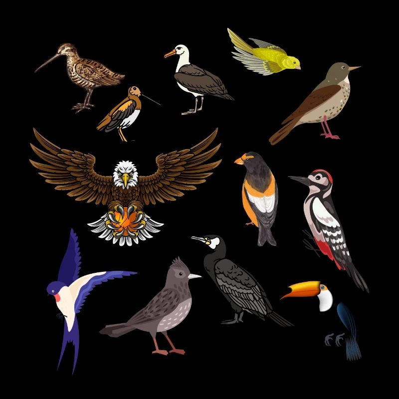 Vogel-Set