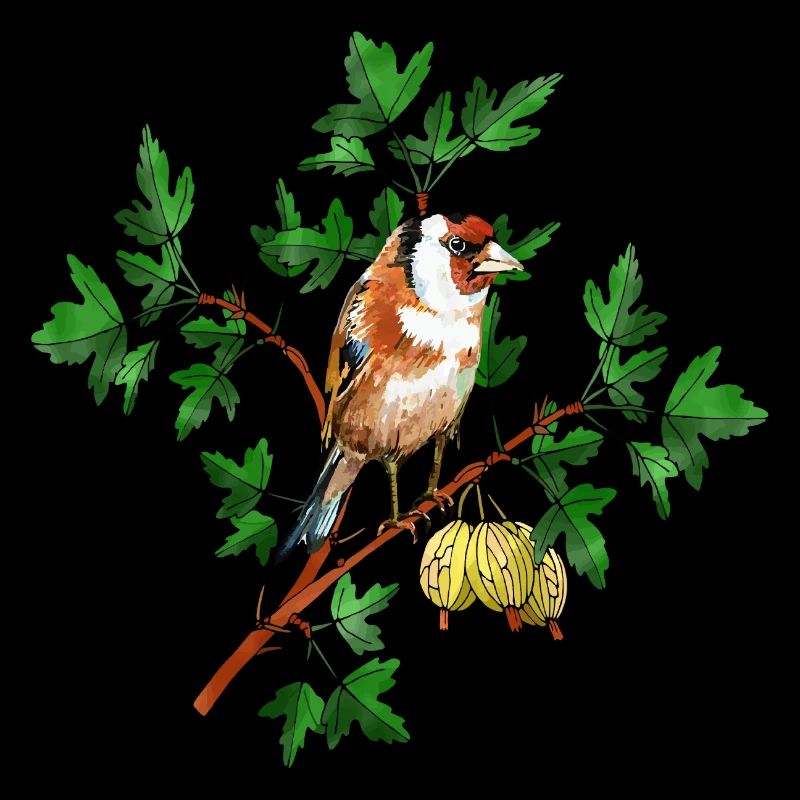 Colorful bird