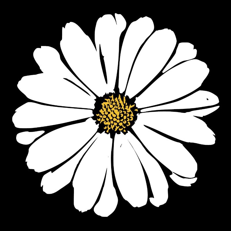 Fleur Fleurs Blanches Fleurs Blanches Été Hippie Idée Cadeau