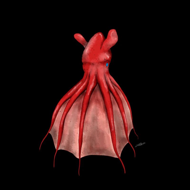 VAMPYROTEUTHIS INFERNALIS