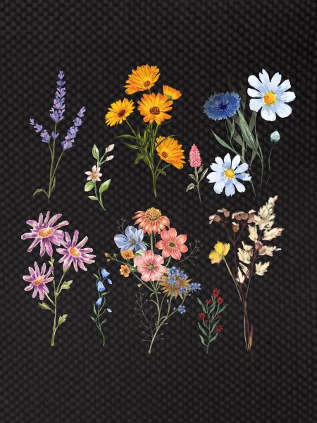 Botanical Wildflowers
