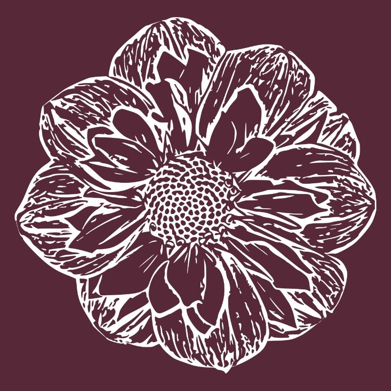 Fleur, Blanc, Fleur Blanche