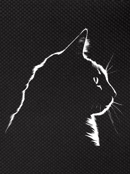 Cat, Cat Motif