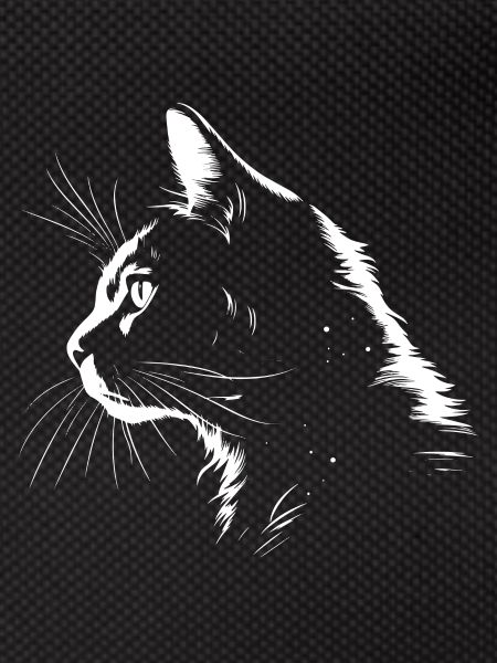 Chat, Motif De Chat