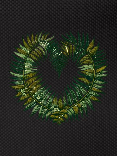 Ferns