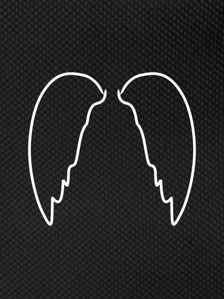 Wings flying icon