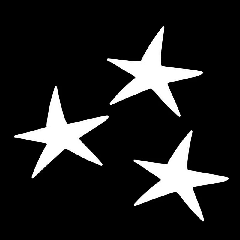 Stern muster Symbol