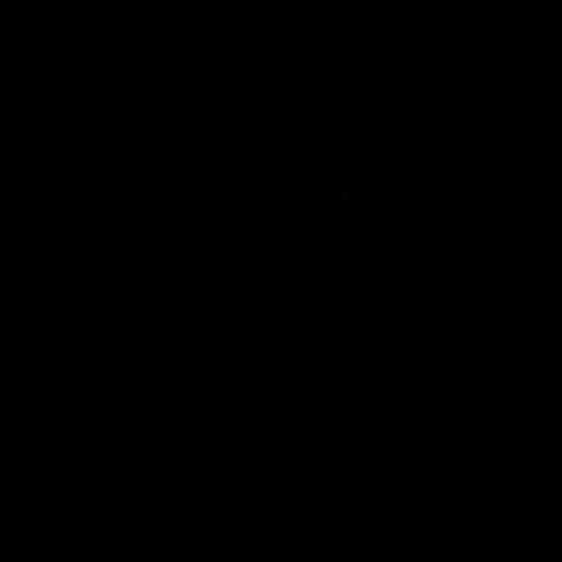 Logo du cheval