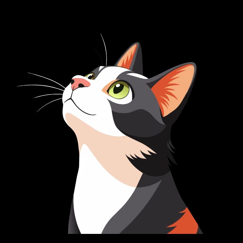 Katze schaut nach oben