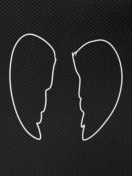 Wings Angel Icon