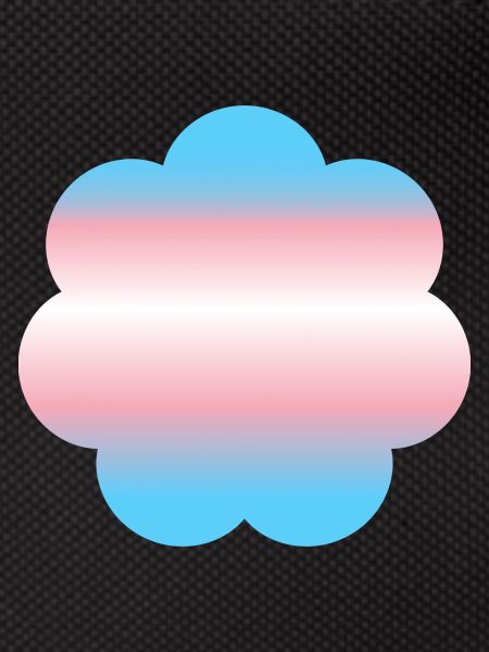 Subtle Transgender Pride