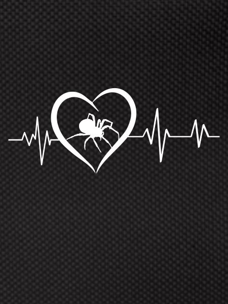 Spider heartbeat