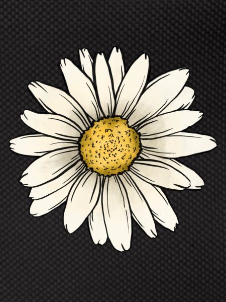 Daisy