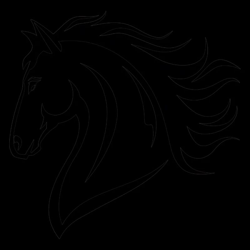 Cheval Équitation Équitation