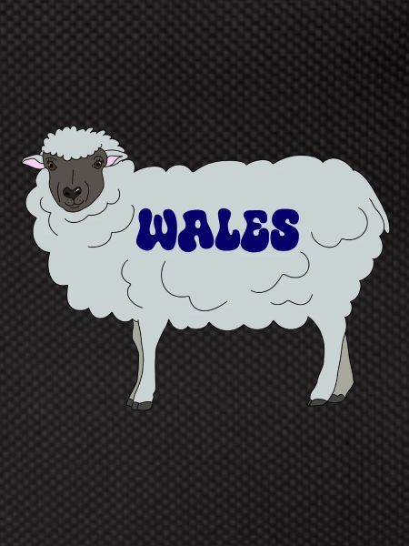 Wales Sheep
