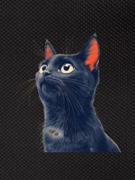 Chat noir mignon