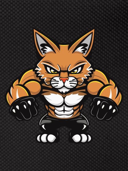 Wildcat Comic
