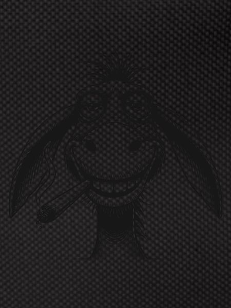 Donkey