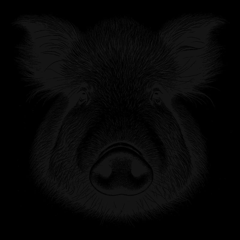Wild boar
