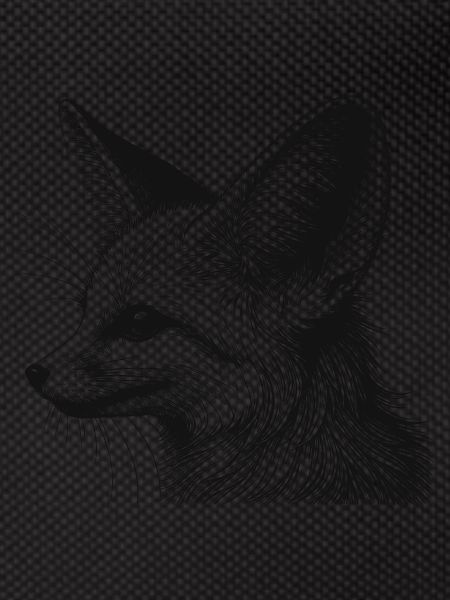 Fennec
