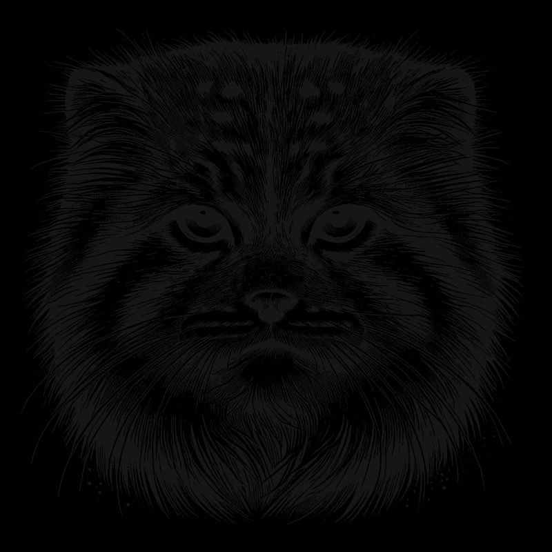 Manul