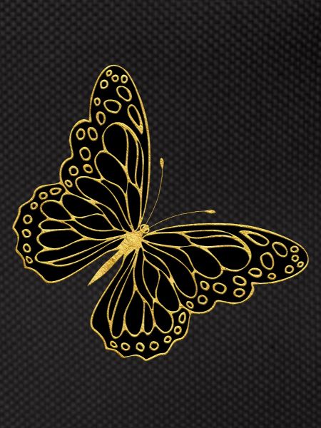 Papillon