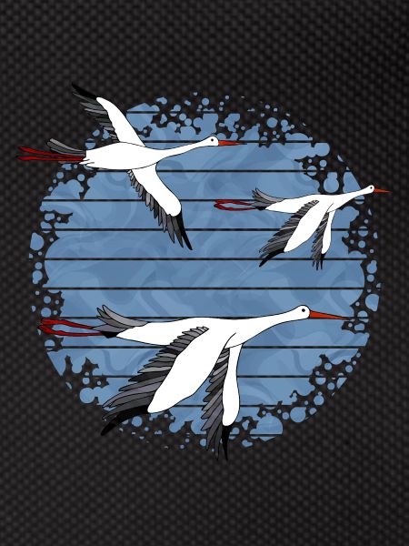 Oiseaux