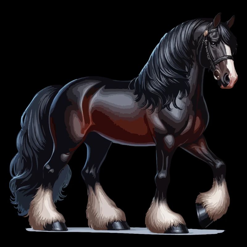 Cheval Pêcheur noir 2