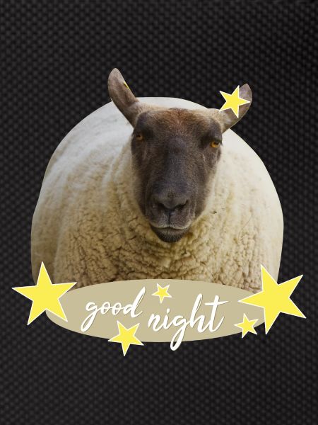 sheep good night