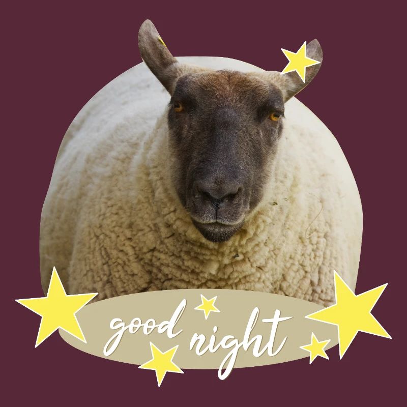 sheep good night