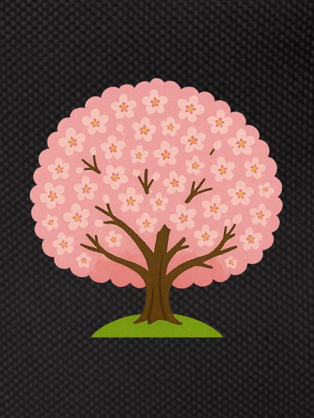 Cherry blossom