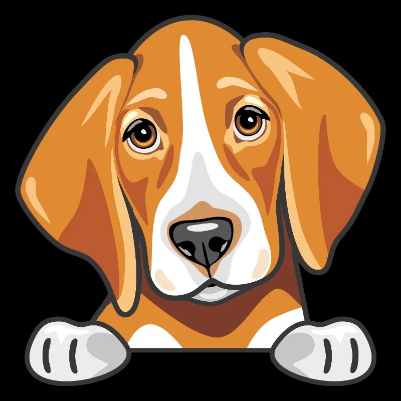 Peeking cute sad foxhound