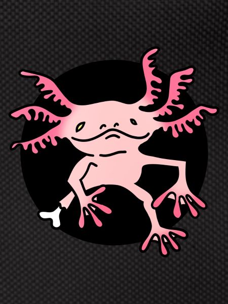 Axolotl