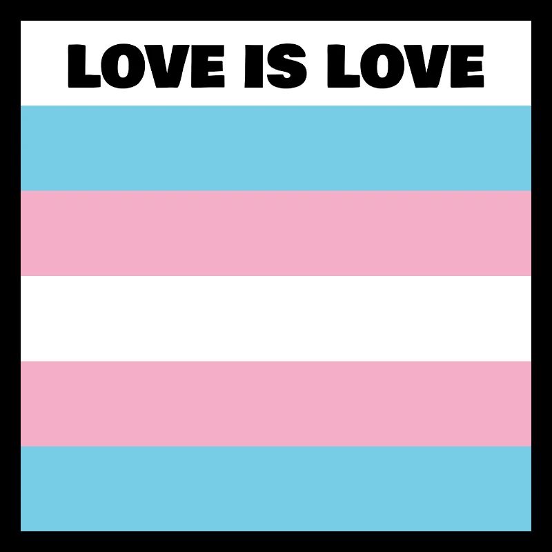 Drapeau LOVE IS LOVE TRANS