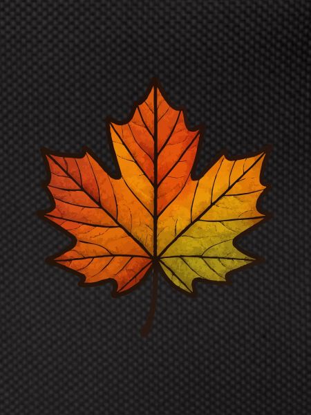 Leaf Autumn Maple Leaf