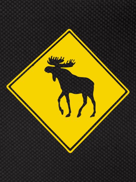 caribou_creu