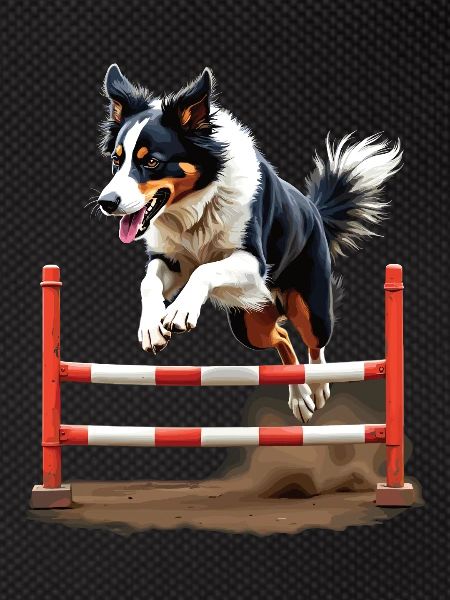 Agility