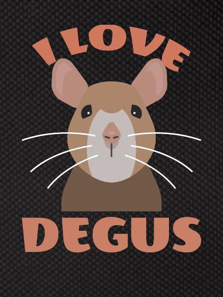 J’adore Degus