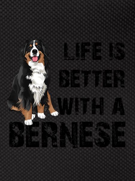 Bouvier bernois