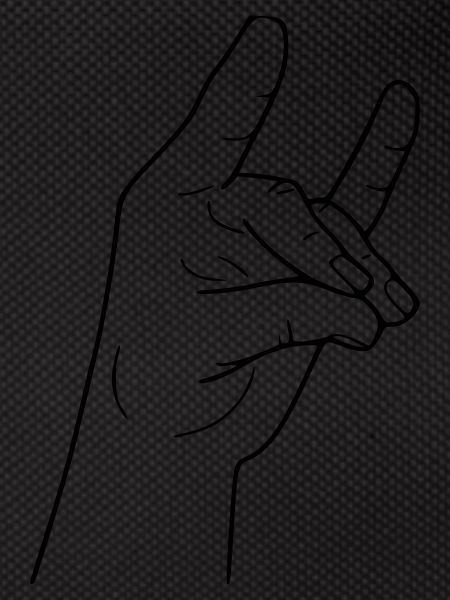 Hand Fuchs