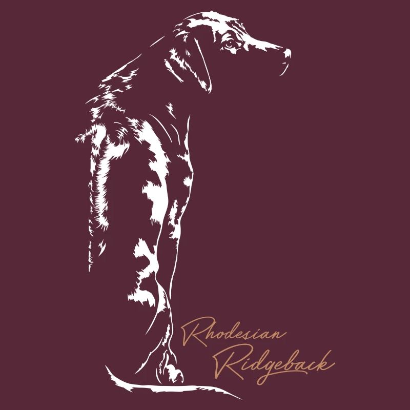 RHODESIAN RIDGEBACK RR Wilsigns canine dog