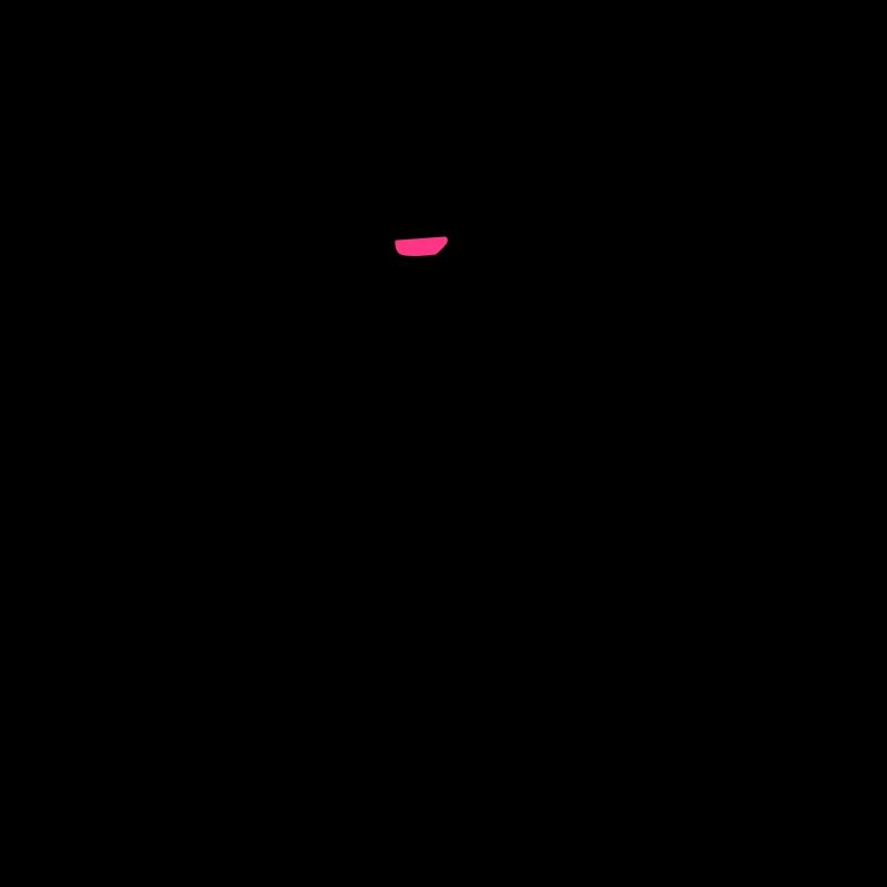 feministin