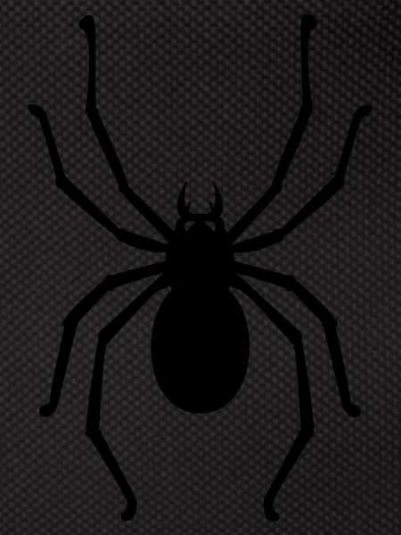 spider
