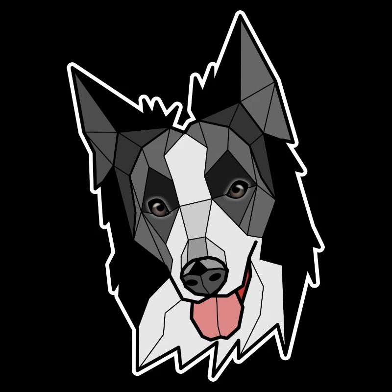 Border-Collie - Schwarzweiss