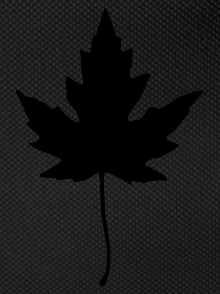 feuille d'érable
