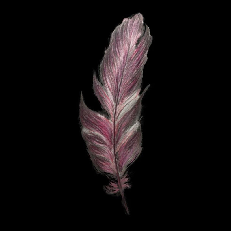 feather